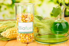 Albany biofuel availability